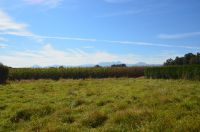 8 Eigentumswohnungen zum Wohlf�hlen